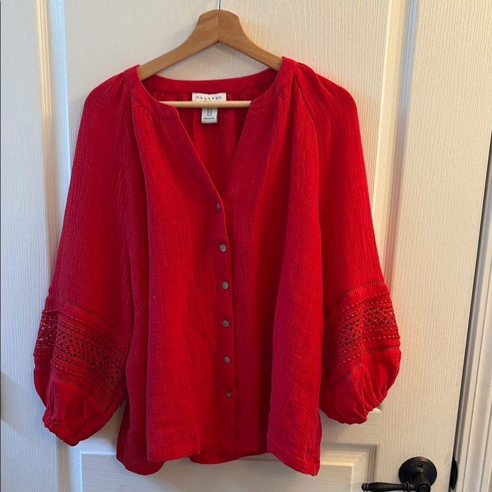 Velvet Scarlet Blouse with Button Detail